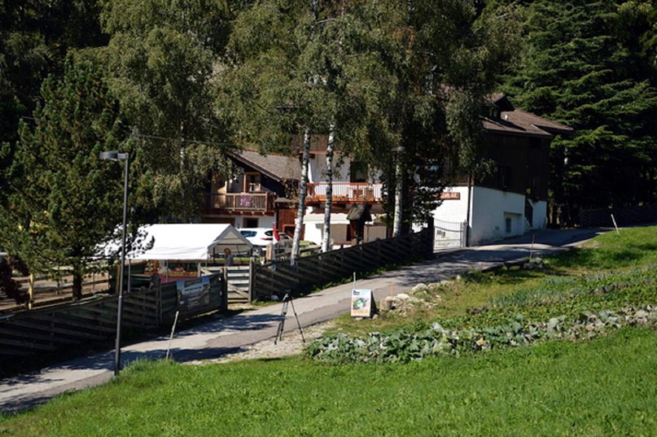 Villa Maso Kofler à Rumo Extérieur photo
